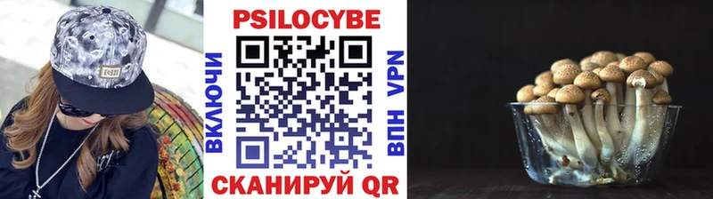 Псилоцибиновые грибы MAGIC MUSHROOMS  сколько стоит  Окуловка 